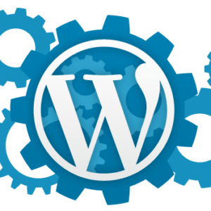 Wordpress supoort services